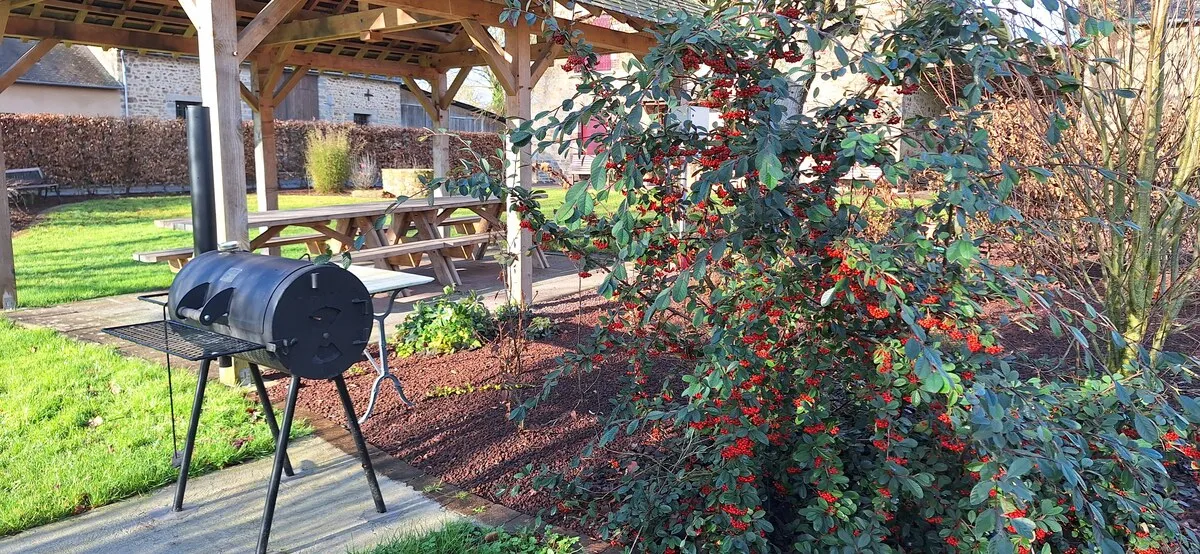 Barbecue extérieur du gîte de groupe à Bacilly